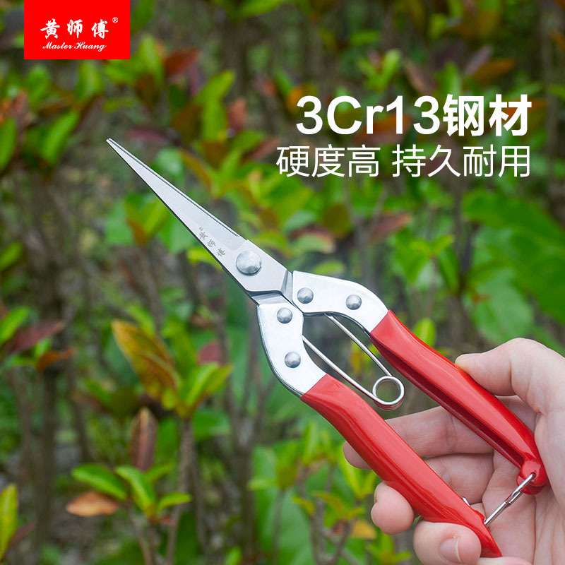 不锈钢摘果剪翘头水果剪刀果枝剪稀果剪园艺剪修枝剪果树剪修花剪