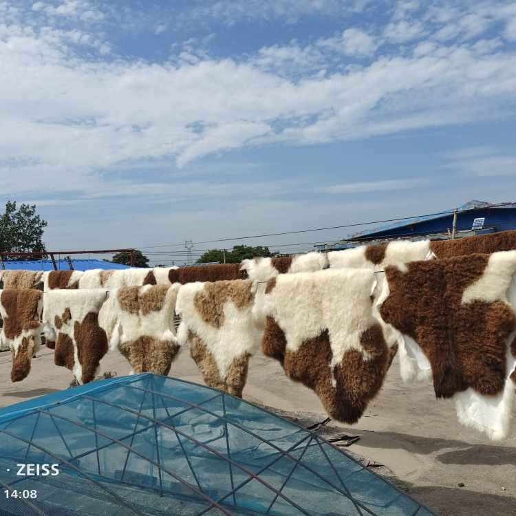 整张羊皮飘窗垫羊毛地毯皮毛一体沙发垫家用客厅垫子卧室阳台毯子