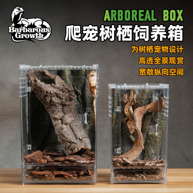 BG老爷树蛙睫角守宫亚克力玻璃前开门爬宠饲养箱造景爬宠缸螳螂