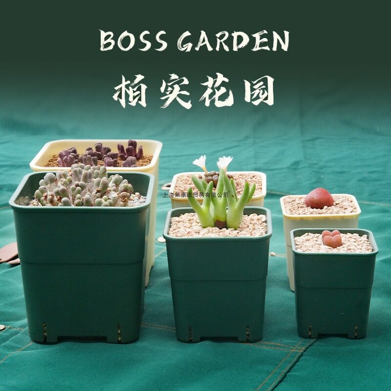 柏实多肉方盆花盆塑料方盆矮盆植物盆栽番杏仙人球种植加厚耐用