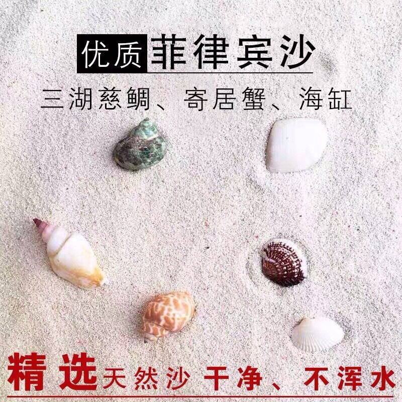 天然鱼缸底砂菲律宾沙贝壳珊瑚砂海沙海缸造景装饰三湖慈鲷寄居蟹