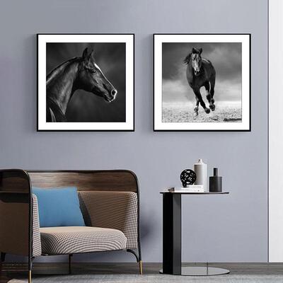 现代简约黑白装饰画骏马图壁画办公室挂画走廊过道餐厅饭厅卧室画
