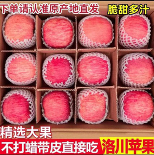 正宗陕西延安洛川苹果一箱红富士9斤新鲜水果脆甜多汁产地直发包