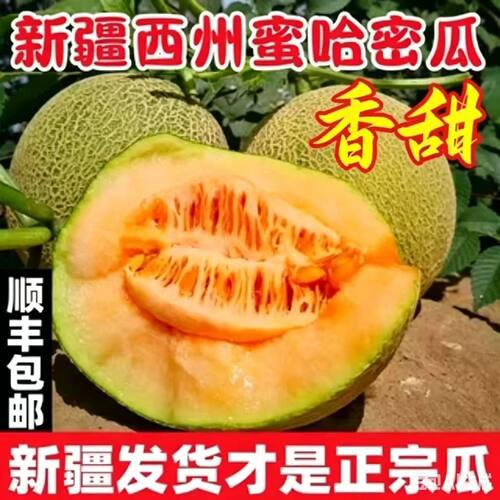 顺丰新疆哈密瓜吐鲁番西州蜜25号甜瓜当季新鲜水果香瓜沙漠蜜瓜