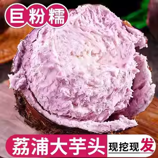 2026当季新鲜广西荔浦市芋头旗舰店大果商用新鲜现挖现发产地直发