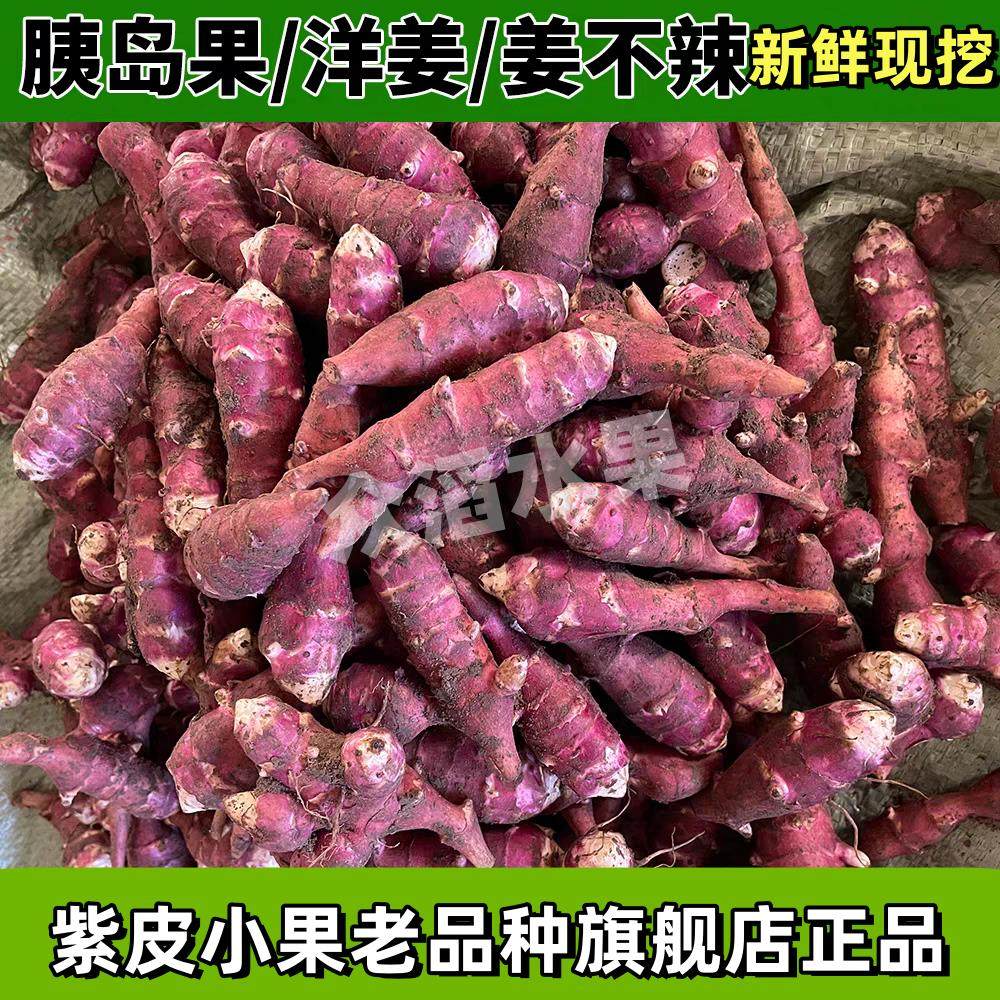 现挖胰岛果洋姜新鲜红皮洋生姜鬼子姜不辣红果腌酱泡咸菜甜姜菊芋