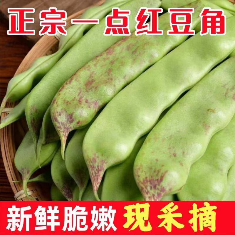 现摘当季东北特产油豆角一点红新鲜当季蔬菜九月青两种随机农产品,水产肉类/新鲜蔬果/熟食,新鲜豆类,淘宝优惠券,粉丝福利购,淘宝优惠卷