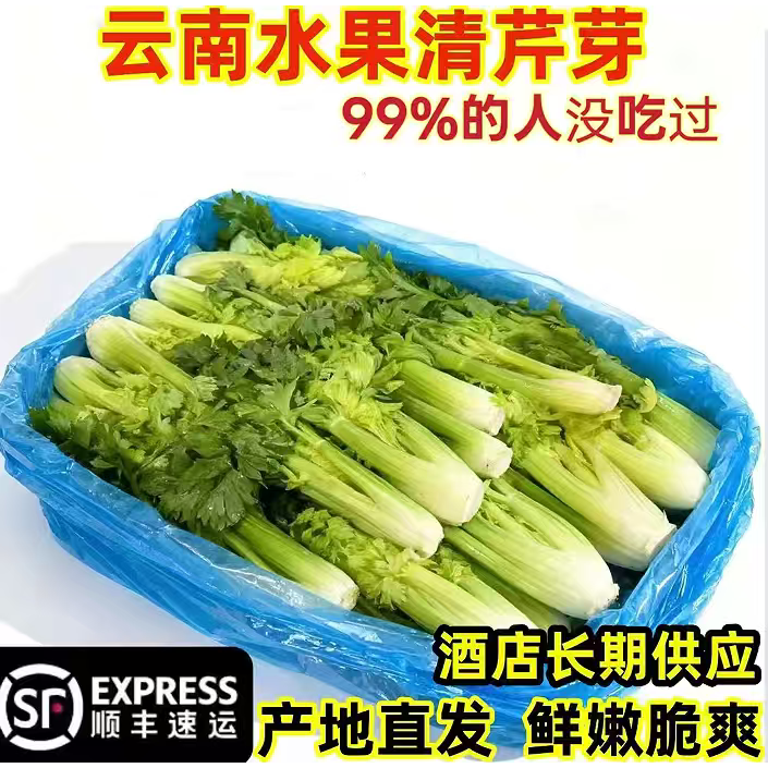 云南新鲜水果清芹芽可生吃的芹菜当季现摘新鲜网红菜鲜嫩榨汁蔬菜