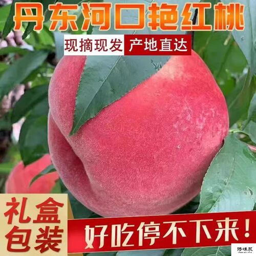 馋味鼠水蜜桃丹东礼盒装艳红桃子