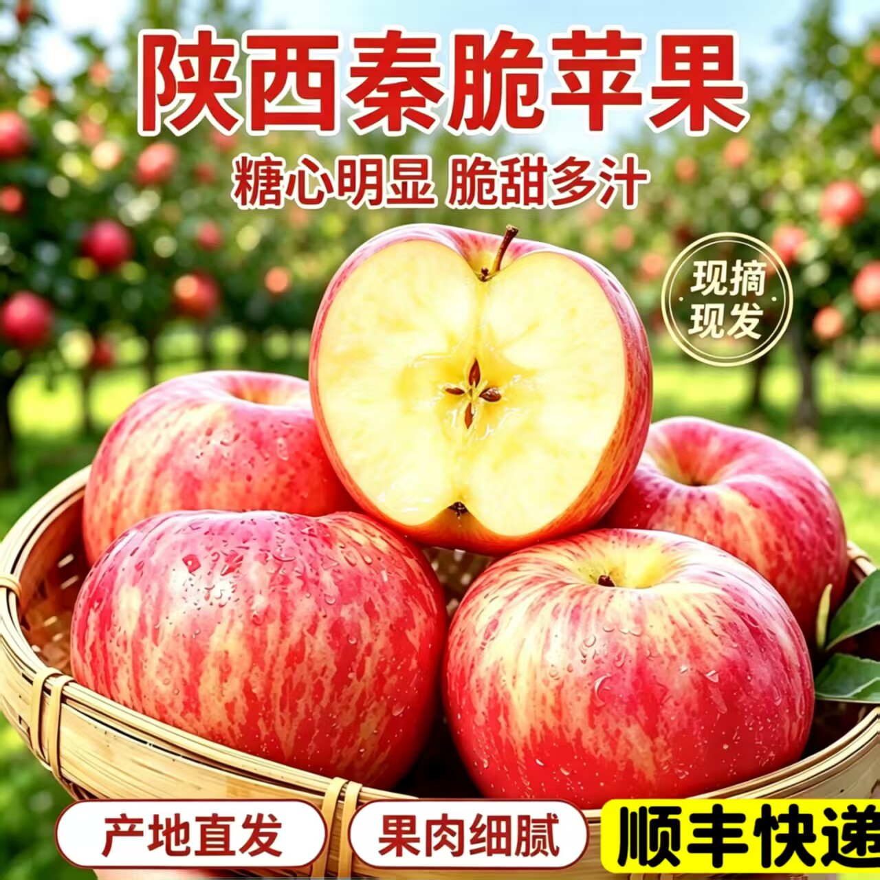陕西白水秦脆苹果瑞雪新鲜水果应当季脆甜多汁红苹果整箱礼盒顺丰