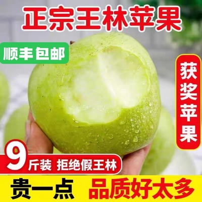 正宗王林苹果水果新鲜当季整箱5斤脆甜雀斑青苹果青森丑苹果9顺丰