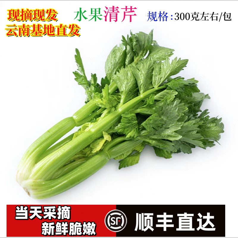 立农维康云南高原水果清芹生吃新鲜水果芹菜西芹当季榨汁绿色青菜