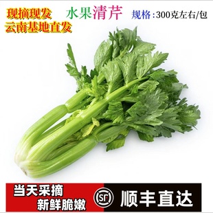 立农维康云南高原水果清芹生吃新鲜水果芹菜西芹当季 榨汁绿色青菜