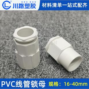 川路PVC锁母接头线盒下线管杯梳电工穿线管底盒锁扣20塑料卡扣25