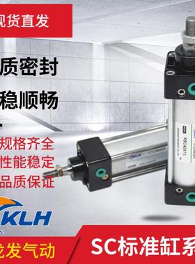 SC125X30X35X40X50X60X65X110X175X300X350X400X450X500X600X70-S