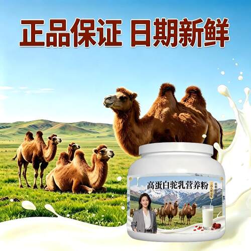人群高蛋白驼乳粉居家常备高蛋白骨骼骆驼营养粉沙漠官方正品初乳