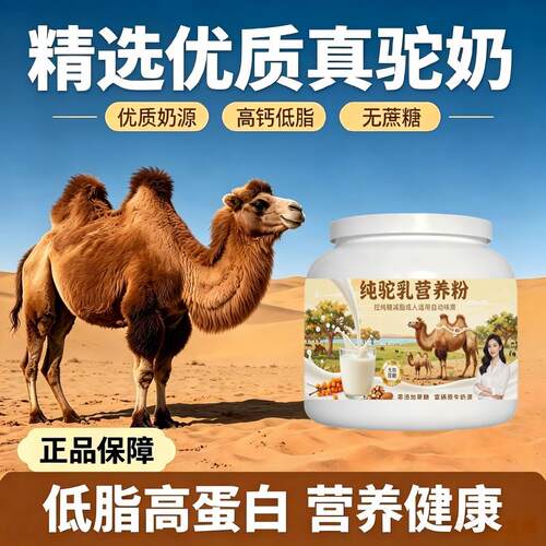 轻负担日常食用纯驼乳粉早餐冲饮高蛋白丰富骨骼驼乳粉丰草牧场官
