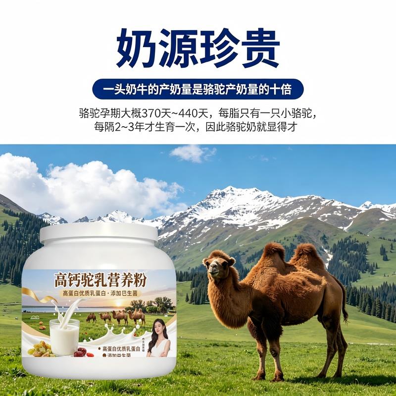 日常饮食人群高钙驼乳粉日常早餐零蔗糖高蛋白骆驼营养粉沙漠官方