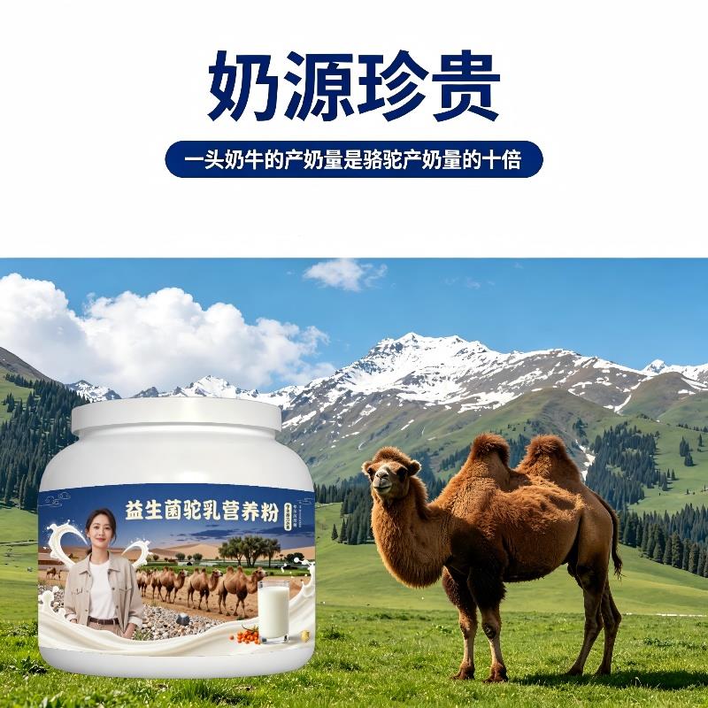学生益生菌驼乳粉日常冲饮高蛋白骨骼驼乳粉原产地正品初乳配方