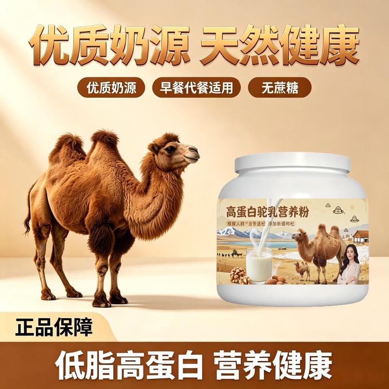 日常饮食人群高蛋白驼乳粉温冲速溶轻食适配驼奶粉原产地