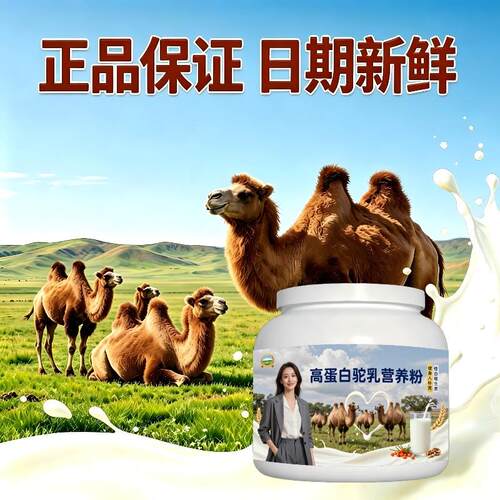 健身高蛋白驼乳粉日常冲饮高蛋白原生营养骆驼营养粉直供正宗专用