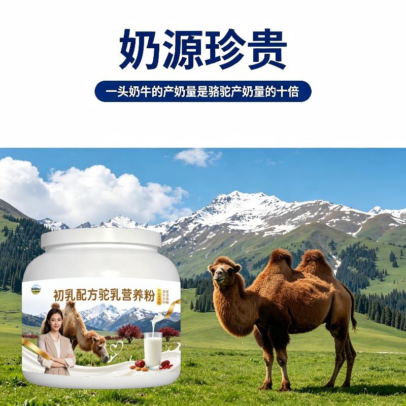 初乳驼乳粉月子食补高钙驼奶粉散养100%正品专用