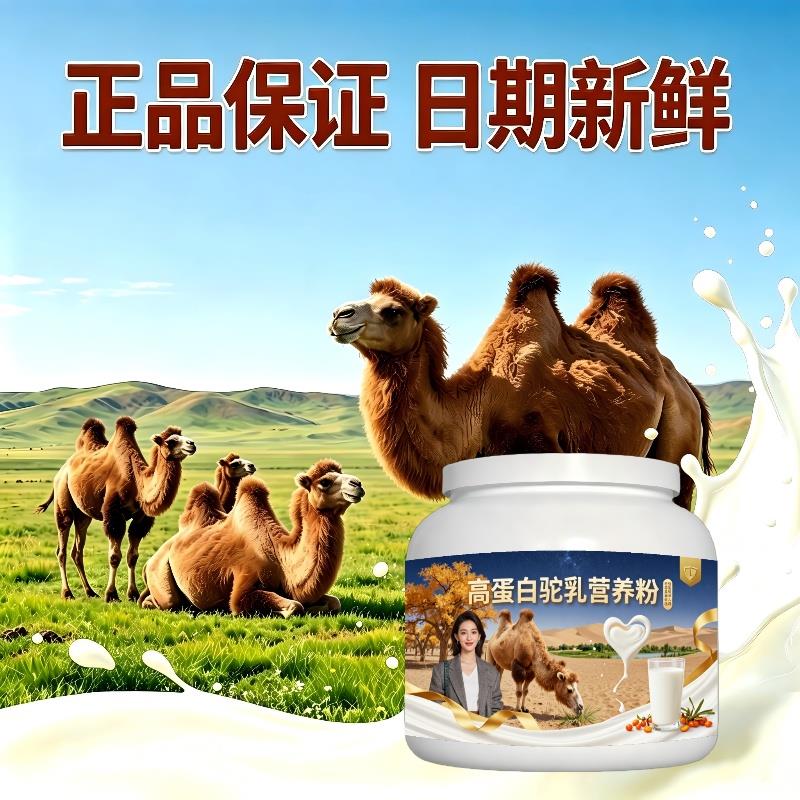 高蛋白驼乳粉温冲速溶高蛋白原生营养骆驼营养粉牧场官方正品专用