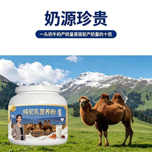 纯驼乳粉日常冲饮零蔗糖低驼奶粉厂家直销100%正品纯正