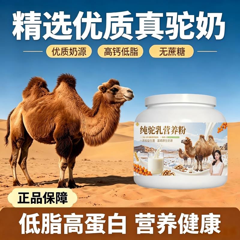 日常饮食人群纯驼乳粉居家食补高蛋白护肠胃驼乳粉直供正