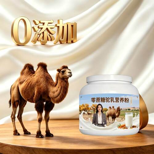 女士零蔗糖驼乳粉日常养生零蔗糖多维骆驼营养粉牧场官方正品专用