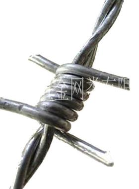 现货丝供应围WBY墙防盗 镀刺网带刺铁锌网