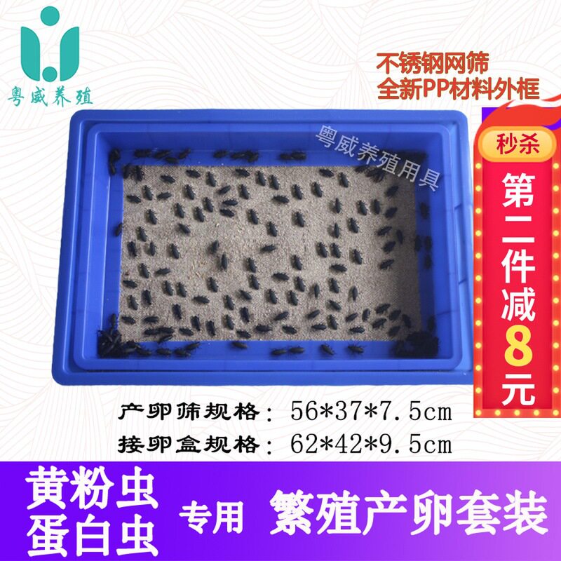 大麦虫虫繁殖黄粉虫产卵蛋白筛养殖箱饲养筛网盒套装分离虫卵