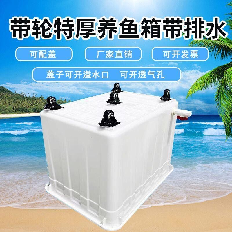特大号带轮子周转箱养龟带排水口养鱼水箱带孔水产养殖带轱辘鱼桶