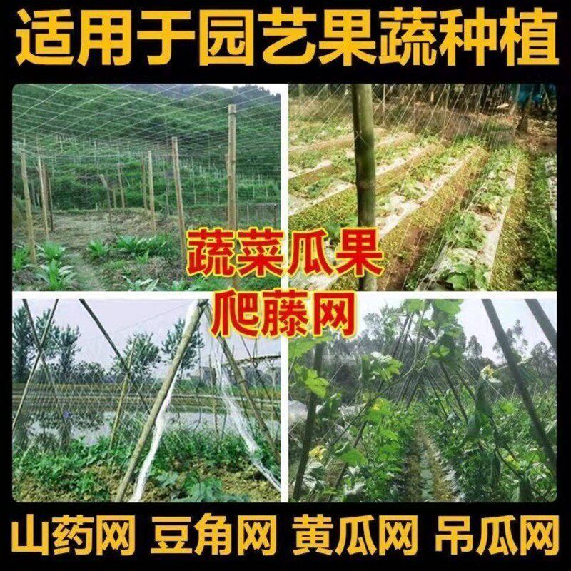 卫生间爬藤网农用植物山药黄瓜豌豆苦瓜豆角丝瓜网