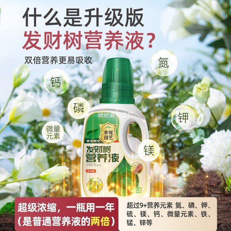 肥料肥治叶子发黄叶烂根室内盆栽植物花肥通墨