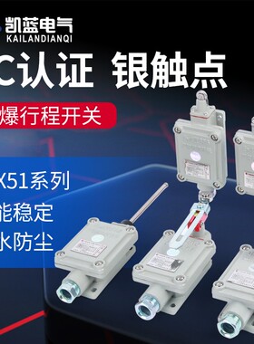 防爆行程开关BZX51-5Z/L/N/S/T 限位开关滚轮柱塞式触头