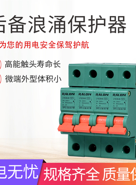 SPD 浪涌后备保护器 SCB保护装置 电涌后备保护器100KA浪涌保护器