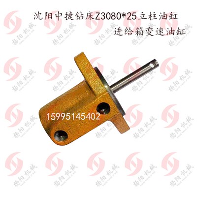 沈阳中捷钻床 Z3080*25/Z3063立柱油缸/变速油泵/进给油缸 轴外10