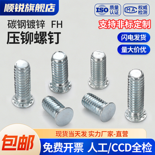 碳钢镀锌压铆螺钉压板螺钉压铆螺丝FH M10