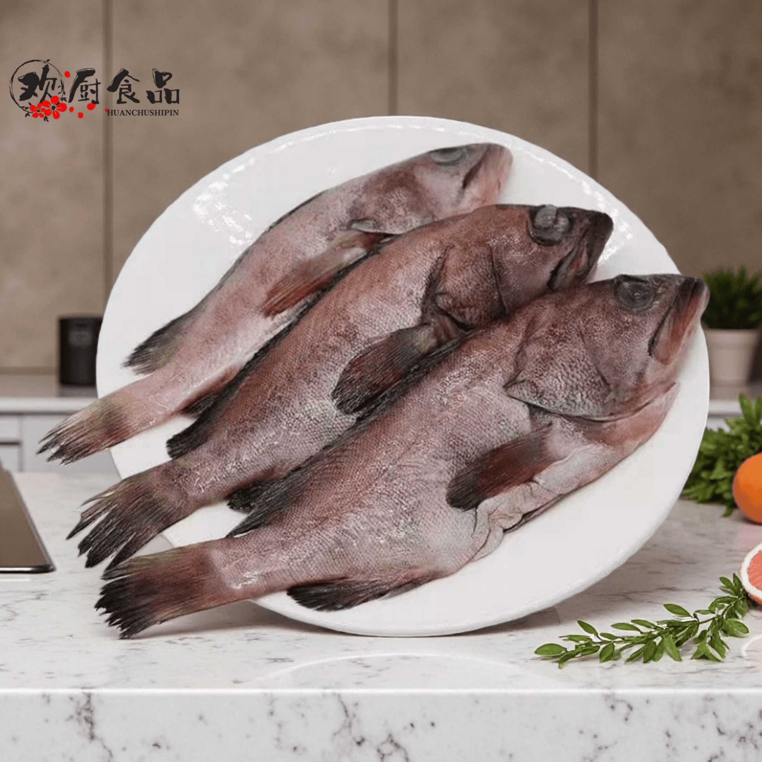 小石斑鱼斑仔鱼鲜活速冻商用食材