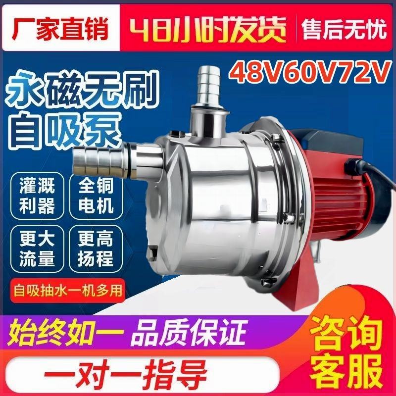 直流无刷不锈钢自吸泵12V24V48V6072V电瓶泵船用浇地海水井抽水泵 五金/工具 水泵 原图主图