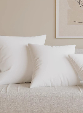 抱枕枕芯内胆客厅沙发靠垫靠枕含芯45x45酒店方形靠背腰靠靠枕芯