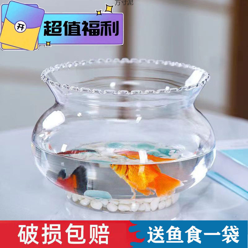 透明玻璃鱼缸小型家用花边金鱼缸乌龟缸生态水培绿植桌面水族摆件