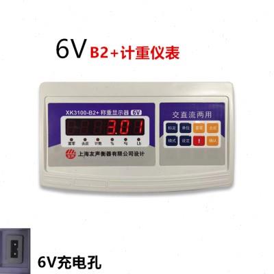 上海友声计重计数称头仪表XK3100-B2+电子秤配件xk3100称重显示器