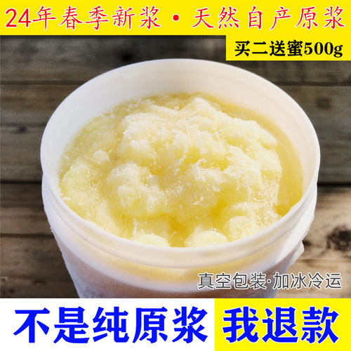 2026正宗蜂王浆纯正天然鲜活农家自产野生蜂乳油菜春浆新鲜蜂皇浆