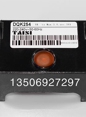 DQK254原装程控器LMG21.384A171台思TAISI程序控制器LOG25.130B28