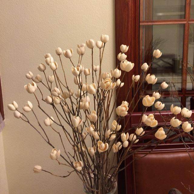 开心果壳手工diy干花材料装饰画客厅工艺品500g2份包邮,鲜花速递/花卉仿真/绿植园艺,洒水/浇水壶,淘宝优惠券,粉丝福利购,淘宝优惠卷