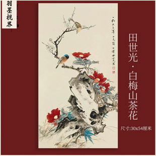 古画名画复制品田世光白梅山茶花中国画花鸟画名人字画装饰画