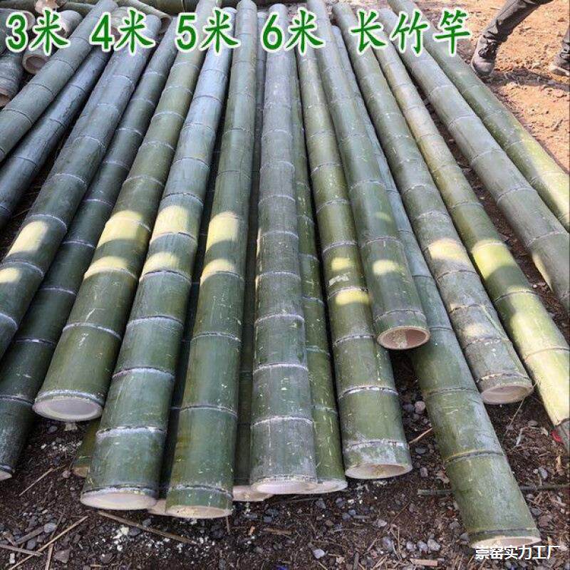 3米4米5米6米长细小竹杆粗大毛竹菜园搭架子竹 竿竹杆架