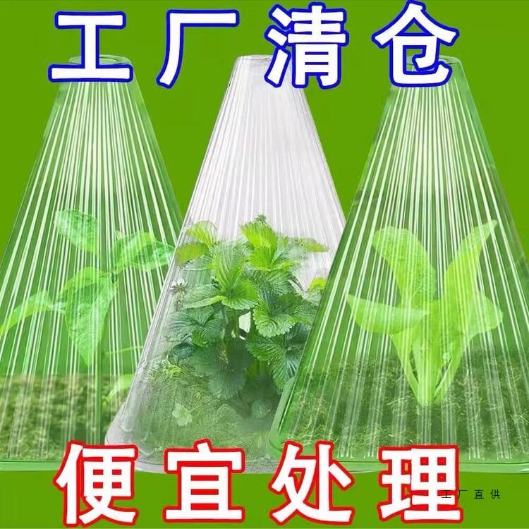 特大号加厚育苗保温罩重复使用植物罩防鸟防虫防冻有孔无孔